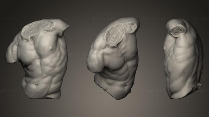 Анатомия скелеты и черепа (Торс Гадди, ANTM_0018) 3D модель для ЧПУ станка